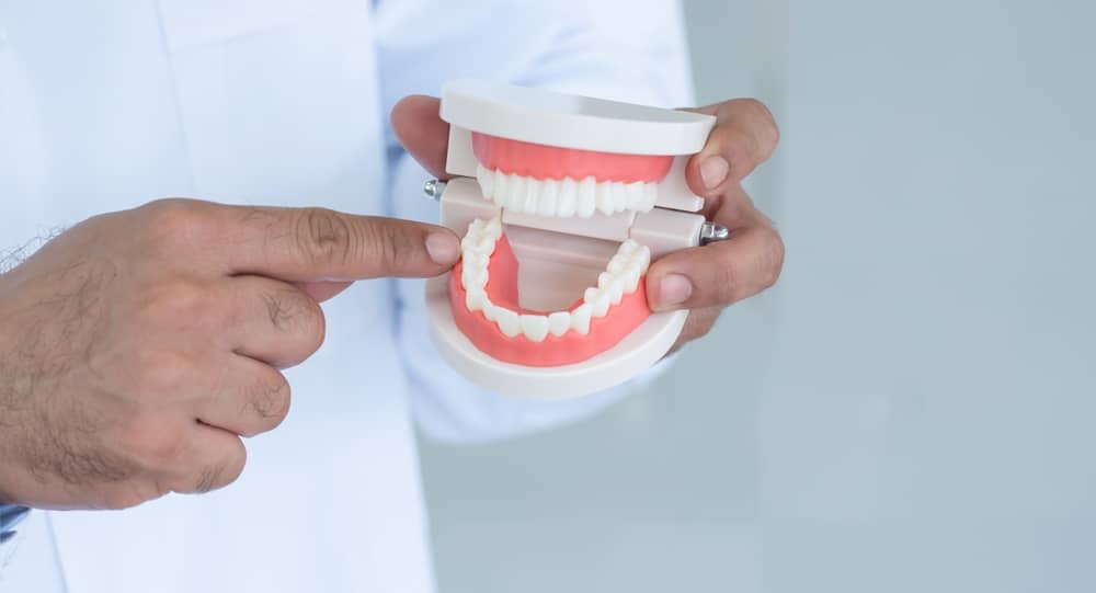 dentist near linsford park